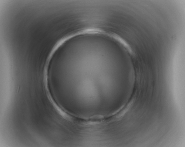 X0000114101430200910051436