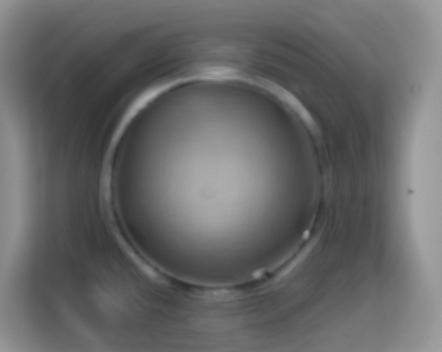 X0000114101432200910051436