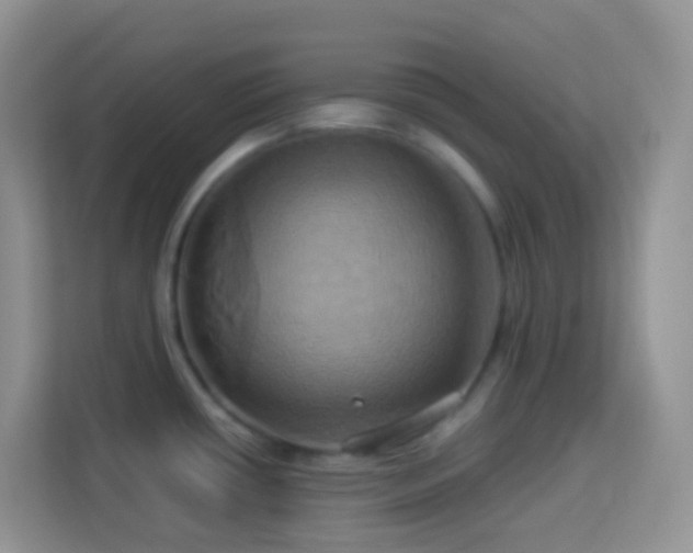 X0000114101434200910051436