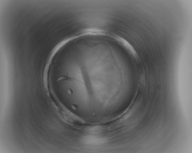 X0000114101435200910051436