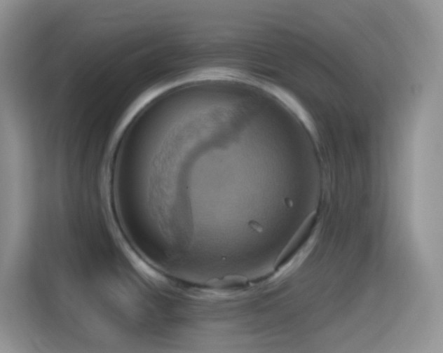 X0000114101438200910051436