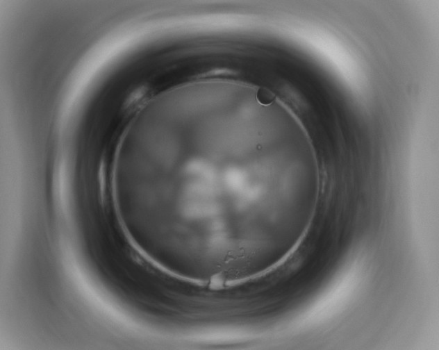 X0000114101439200910051436