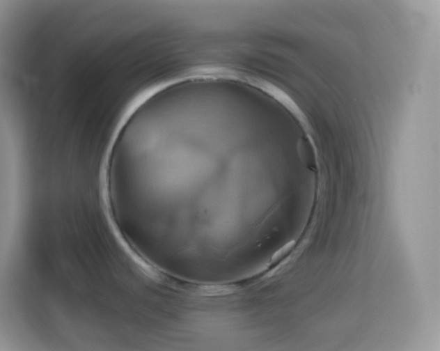 X0000114101440200910051436