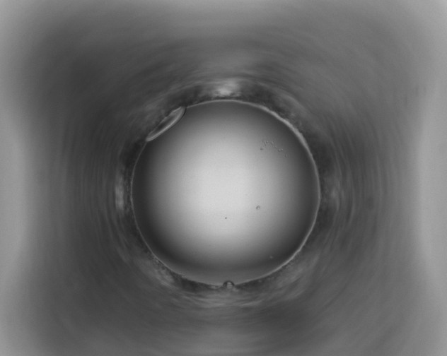 X0000114101442200910051436