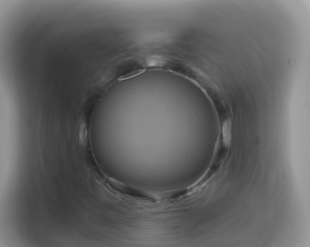 X0000114101443200910051436