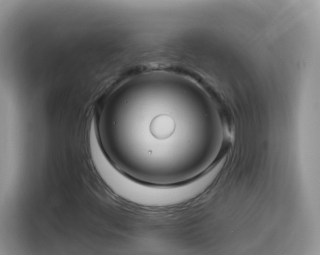 X0000114101444200910051436