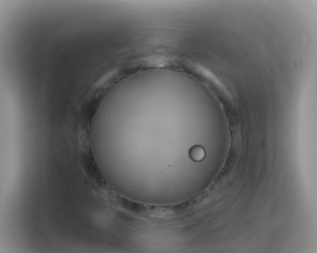 X0000114101446200910051435