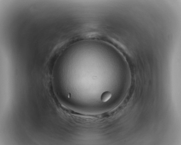 X0000114101447200910051435