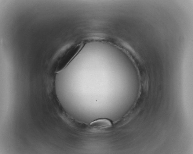 X0000114101448200910051435