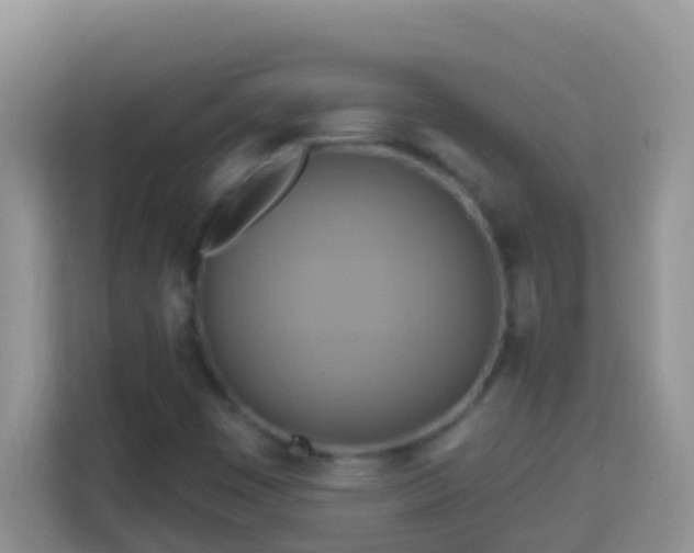 X0000114101449200910051435