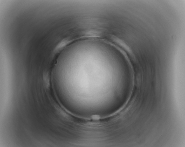 X0000114101451200910051435