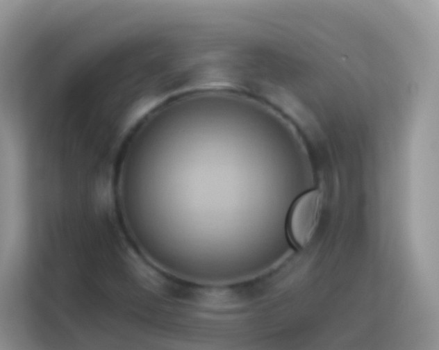 X0000114101452200910051435