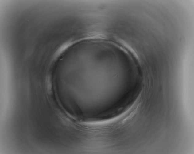 X0000114101455200910051435