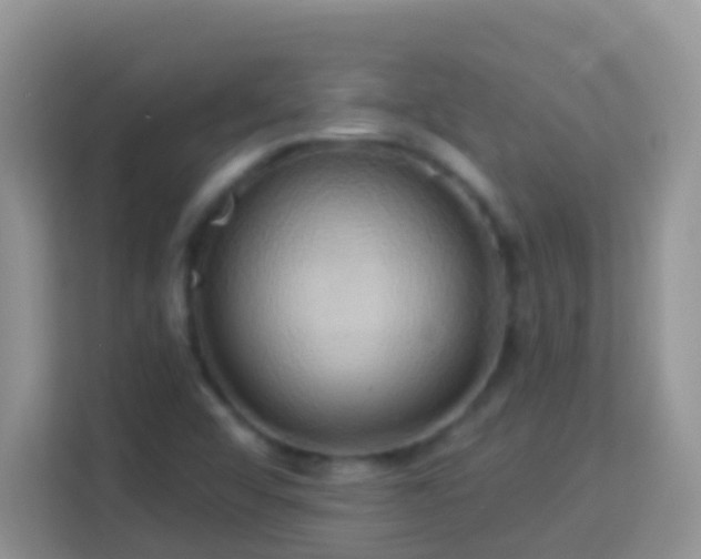 X0000114101456200910051435