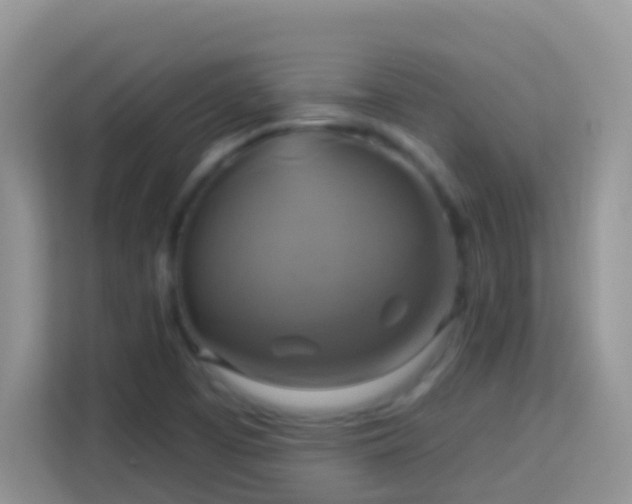 X0000114101457200910051435