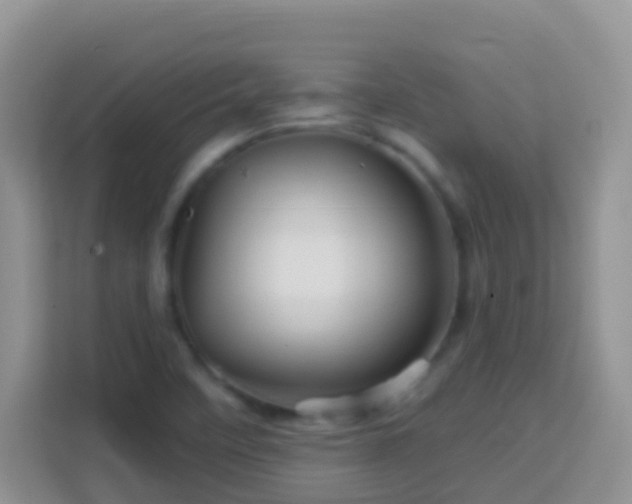 X0000114101458200910051435