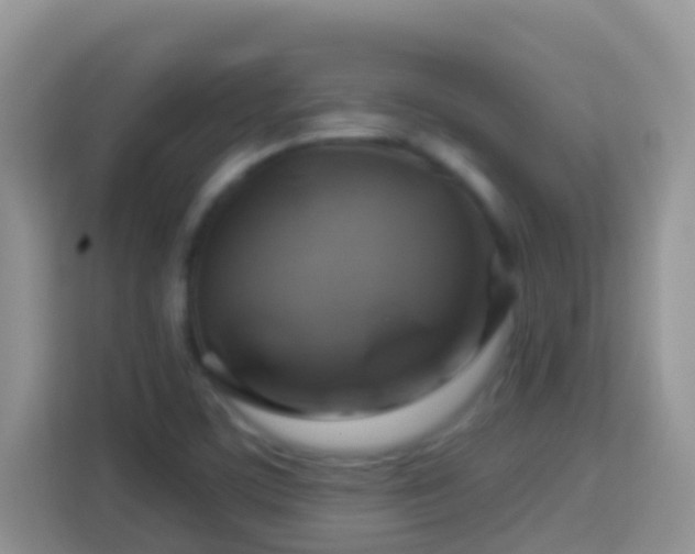 X0000114101459200910051435