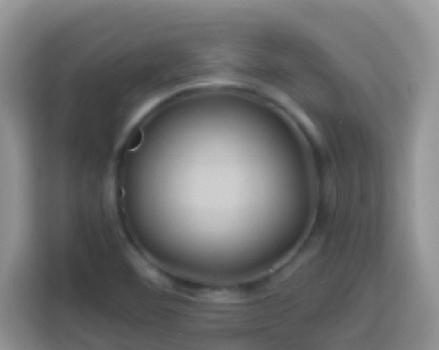 X0000114101460200910051435