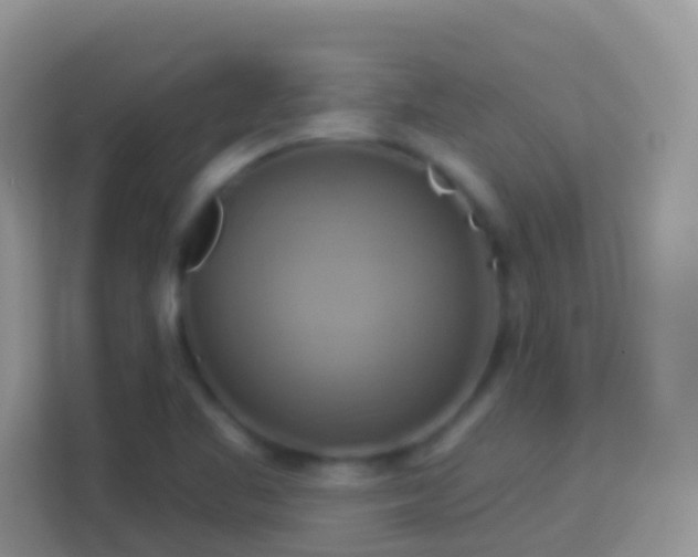 X0000114101461200910051435