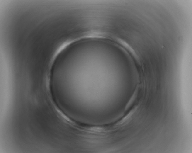 X0000114101463200910051435