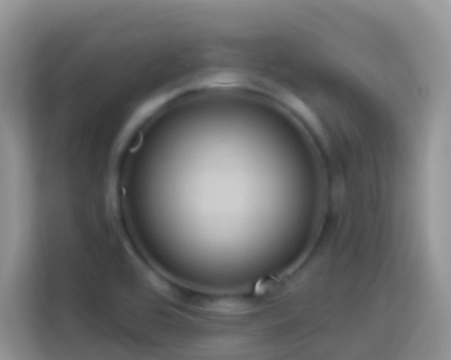 X0000114101464200910051435