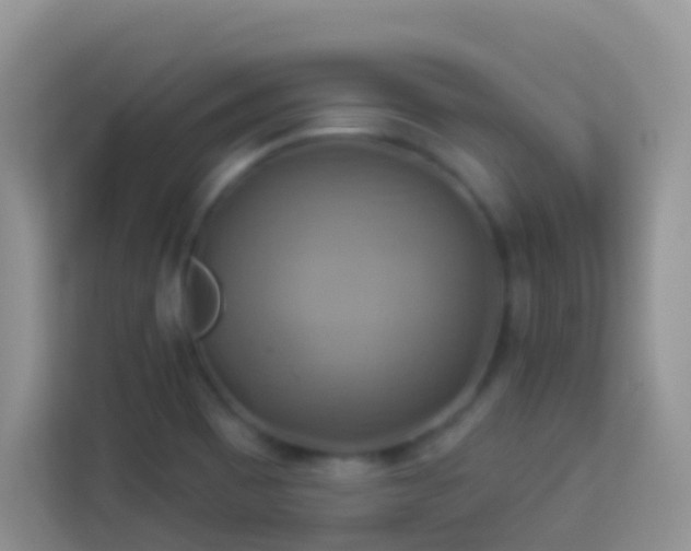 X0000114101465200910051435