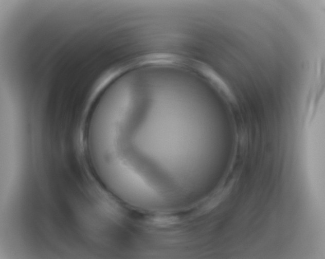 X0000114101466200910051435