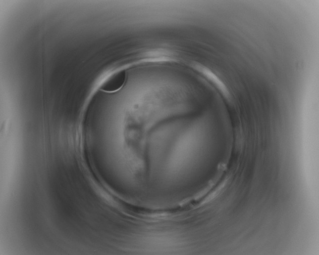 X0000114101467200910051435