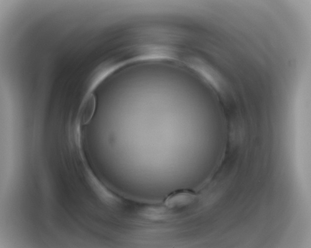 X0000114101468200910051435