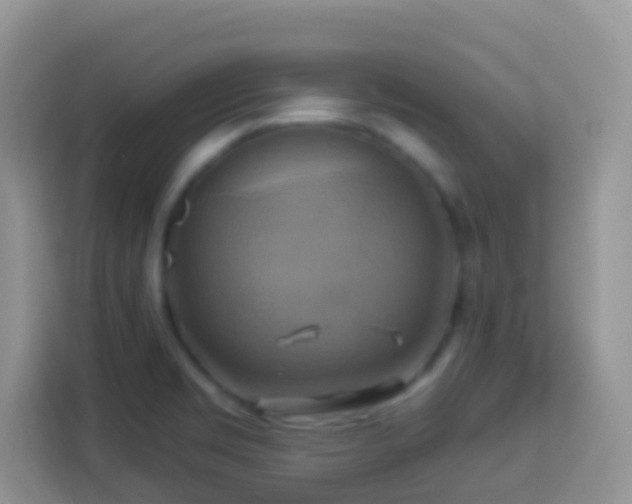 X0000114101469200910051435