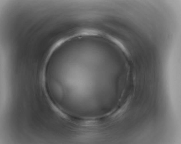 X0000114101471200910051435