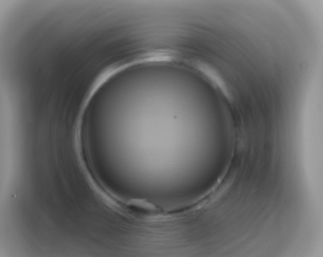 X0000114101475200910051435