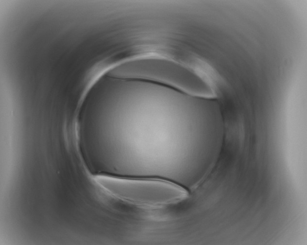 X0000114101476200910051435