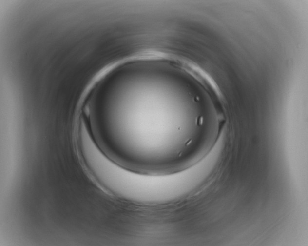 X0000114101477200910051435