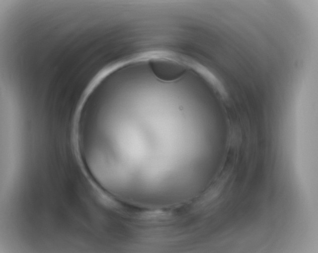 X0000114101478200910051435