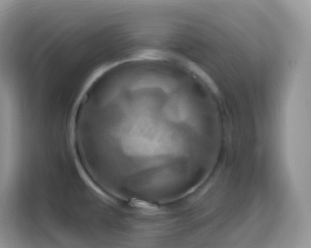 X0000114101479200910051435