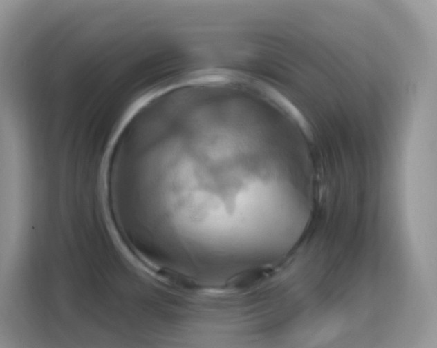 X0000114101483200910051435