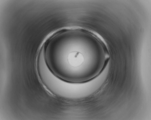 X0000114101485200910051435