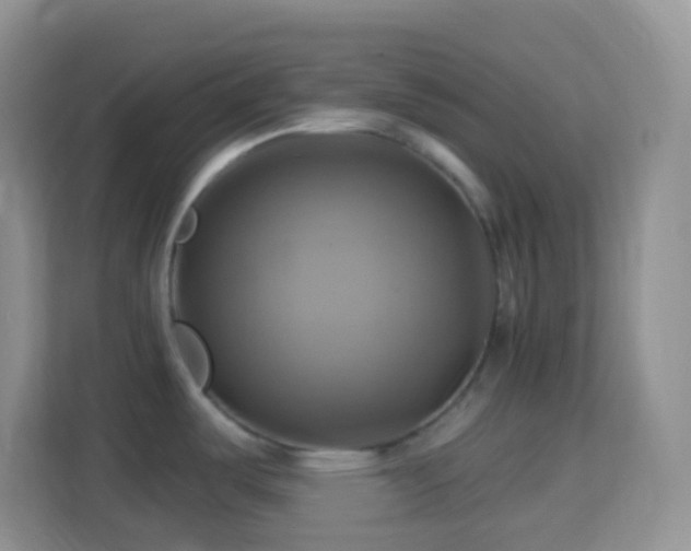 X0000114101487200910051435