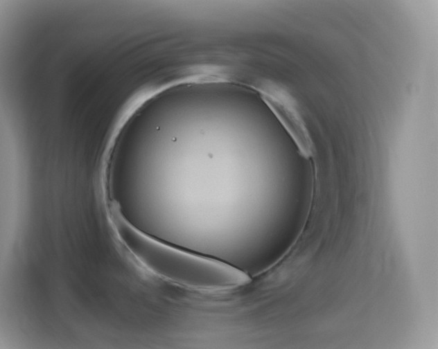 X0000114101488200910051435