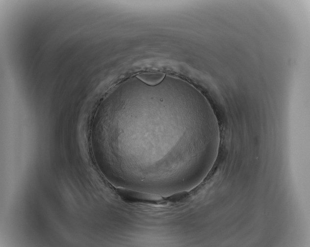 X0000114101489200910051434