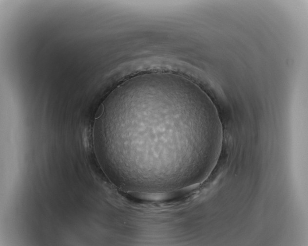 X0000114101490200910051434