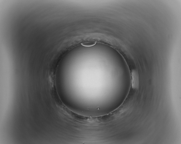 X0000114101491200910051434