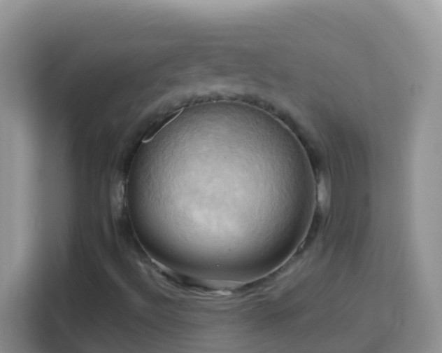 X0000114101492200910051434