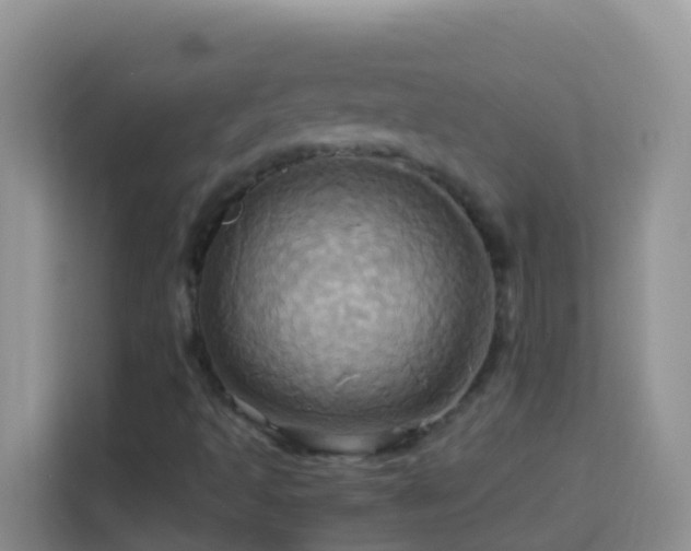 X0000114101493200910051434