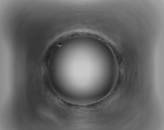 X0000114101495200910051434