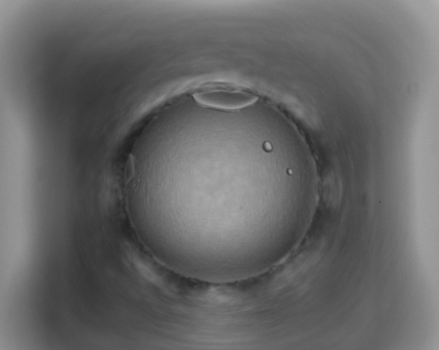 X0000114101496200910051434