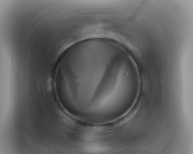 X0000114101497200910051434