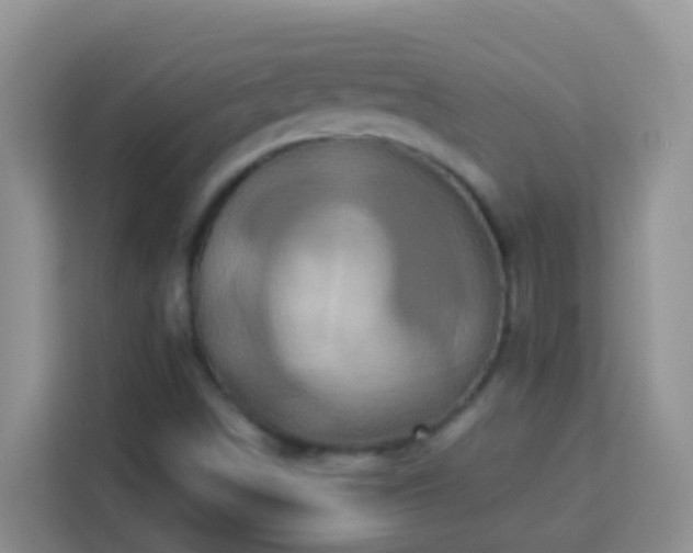 X0000114101498200910051434