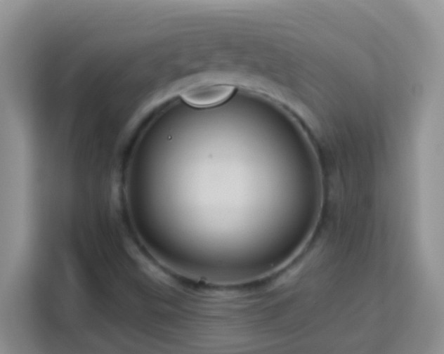 X0000114101499200910051434